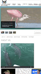 Mobile Screenshot of fin2feather.com